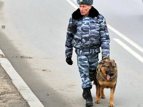 Группа саперов обезвредила гранату под автомобилем московского бизнесмена