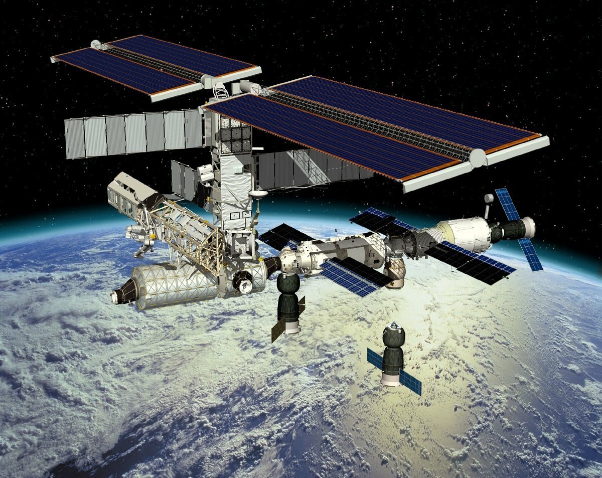    Dragon    14 